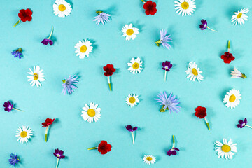 Pattern of bright summer flowers on a blue background, top view