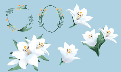 Fototapeta na wymiar White flowers set, watercolor hand drawn lilies vector