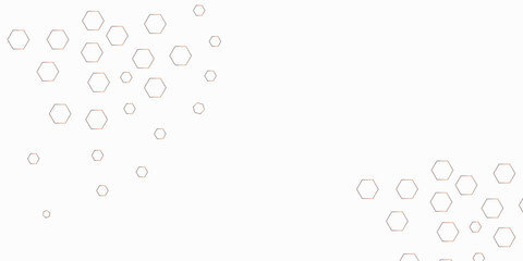 Background with hexagons . Abstract background with lines . white texture background . white and hexagon abstract background. white paper texture and futuristic business .