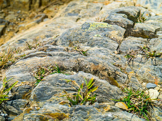 台湾 南投県 合歓山