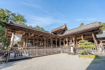 Naklejka premium 土佐神社