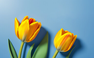 tulips on a background with place fort text created using AI generative tools