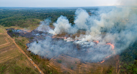Um raio desencadeou um incendio e a equipe de brigada tenta controlar o fogo.  Imagens de drone. Rondônia - Amazonia - Brasil.