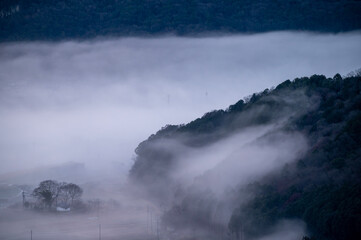 静かな霧の朝