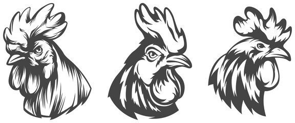 Head of rooster set. Cock abstract character illustration. Graphic logo designs template for emblem. Image of portrait for company use.