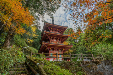 青龍寺