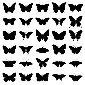 Vector set of black silhouettes of butterflies on a white background vector.