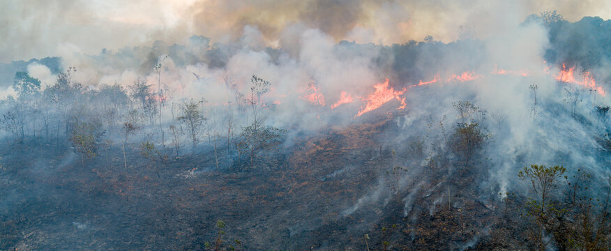 Queimada na Amazonia
