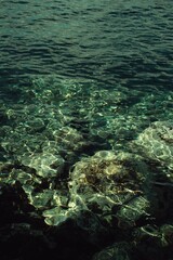 Fototapeta na wymiar Adriatic Water