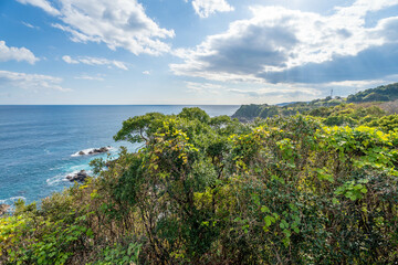 Obraz premium 井の岬