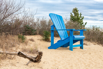 An oversized blue adirondack chair on the Sandbridge beach near trees, greenery and driftwood. This beach is located in Virginia Beach, Virginia. 