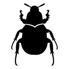 beetle icon illustration vector