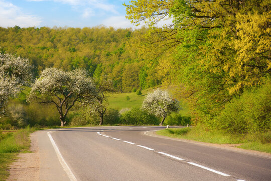 road leads through an idyllic countryside of blooming trees and vast fields, providing a beautiful backdrop for the scenic drive. picturesque view of the majestic mountains and serene countryside