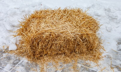 Straw bale close-up on snow in winter