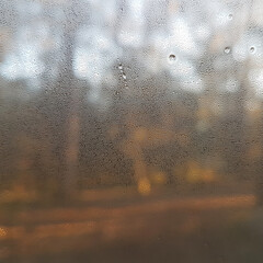 Background, close-up of small raindrops, blurred country landscape with backlight. Warm autumn mood with drops after rain, blurred forest landscape with drops.