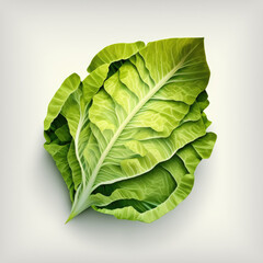Fototapeta premium Stylized lettuce isolated on white background. Vegetable in 3D paper cut style. AI Generated.