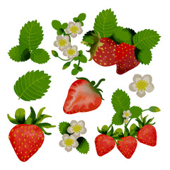 Vector Strawberry in watercolor collection with flower and leaf with branch
