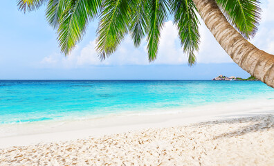 Obraz na płótnie Canvas Coconut palm trees against blue sky and beautiful beach