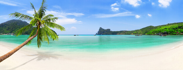 Panorama of longtail boats, coconut palm tree and blue water at Loh Dalum Beach in Ko Phi Phi Don Island, Thailand.