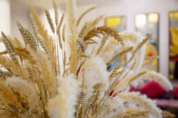 Background of artificial blooming pampas grass stalks bouquet
