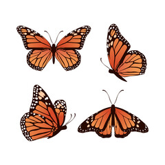 Obraz na płótnie Canvas collection of realistic butterfly vector illustration design