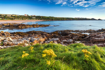 A summer morning at Coldingham Bay near Eyemouth in the Scottish Borders.