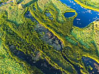 Aerial top down view of wetland in summer.