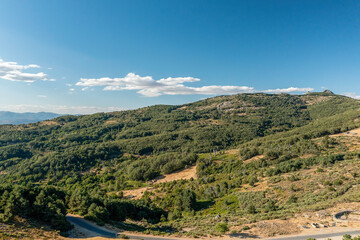 Fototapeta na wymiar Aerial drone view of landscape sunny day in spring in northern Extremadura, Spain, with road, trees, plants and rocks.