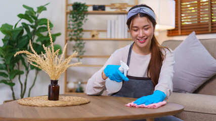 Housework concept, Housemaid using cloth and spray to wipe the dust on table in the living room