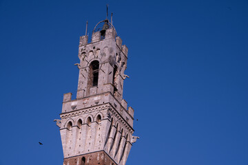Piazza del Campo (Campo square), Palazzo Publico and Torre del Mangia (Mangia tower) in Siena, Tuscany, Italy