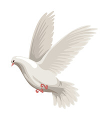dove bird flying