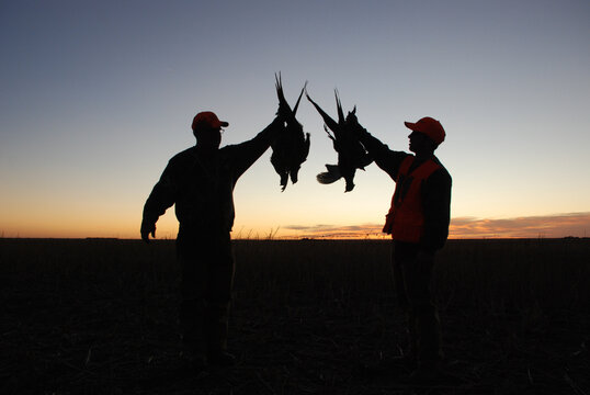 silhouetted hunters with pheasants 