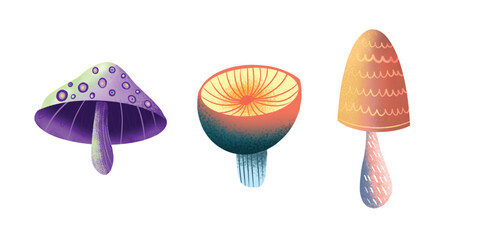 Mushrooms set; watercolor hand draw illustration; with white isolated background