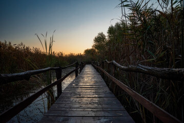 Wooden path over the swamp at Fall sunrise Jegricka Nature Park