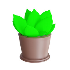 Succulent in pot, 3d render. Simple plant, gardening concept.