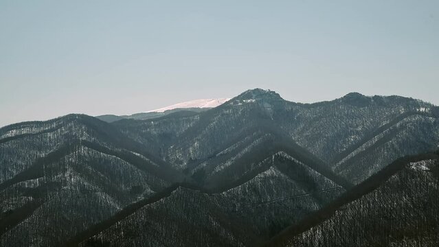 Pointy, forest covered mountain peaks and snowcapped mountain peak in the background