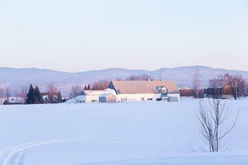 Early morning pastel winter view of metal roofed white barns in snowy field, with the Laurentian mountains in the background, St. Pierre, Island of Orleans, Quebec, Canada