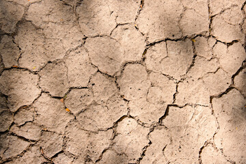 Wall texture soil dry crack pattern of drought lack of water of nature brown old broken background. - obrazy, fototapety, plakaty