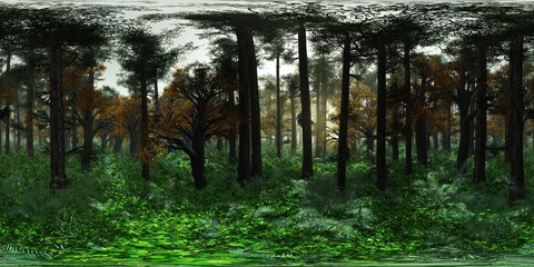 Trees in the fog. HDRI, environment map , Round panorama, spherical panorama, equidistant projection, panorama 360, Forest and swamp, 3d rendering