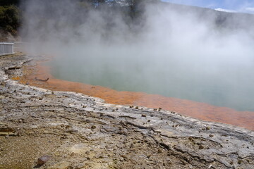 geyser rotorua nz