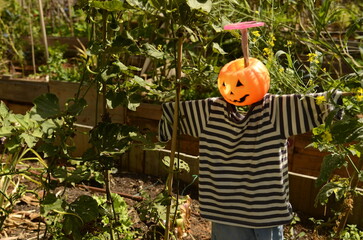 Garden scarecrow. Urban garden. Funny scarecrow among the flowers.