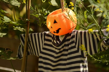 Garden scarecrow. Urban garden. Funny scarecrow among the flowers.