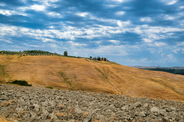 Landscape in Val d Orcia near Asciano