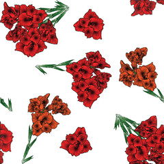 red flowers decoration on white background