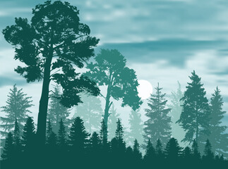 high pines and fir trees forest under cyan sky