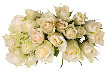 Bunch of white roses cut out