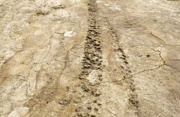 Wheel tracks in the mud