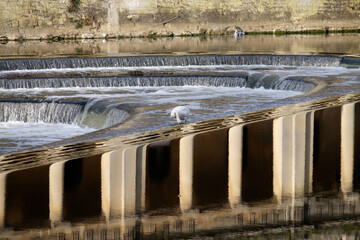 Pulteney Bridge and Weir, Bath England