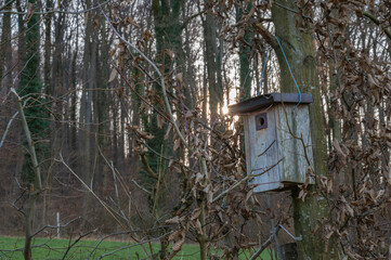 Land um Itingen im Baselland, Schweiz