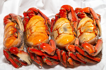 Traditional Brazilian mangrove crabs group in selective focus